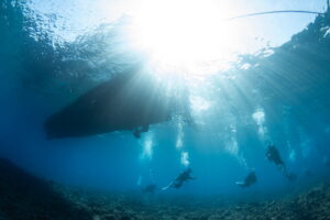Free Rental Gear, No Extra Fees! Full-Day Diving Tour in the Kerama Islands, Okinawa