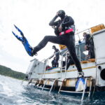 Diving in the Kerama Islands With Guests From Switzerland, Germany, and the United States! Sharks and Cuttlefish