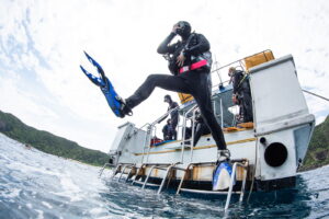 Diving in the Kerama Islands With Guests From Switzerland, Germany, and the United States! Sharks and Cuttlefish