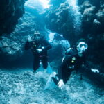 Diving in the Kerama Islands With Guests From the Netherlands and Belgium! Sharks and Sea Turtles