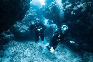 Diving in the Kerama Islands With Guests From the Netherlands and Belgium! Sharks and Sea Turtles