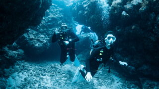 Diving in the Kerama Islands With Guests From the Netherlands and Belgium! Sharks and Sea Turtles
