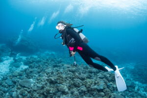 Diving in the Kerama Islands With Guests From the United States! Cuttlefish and Schools of Fish