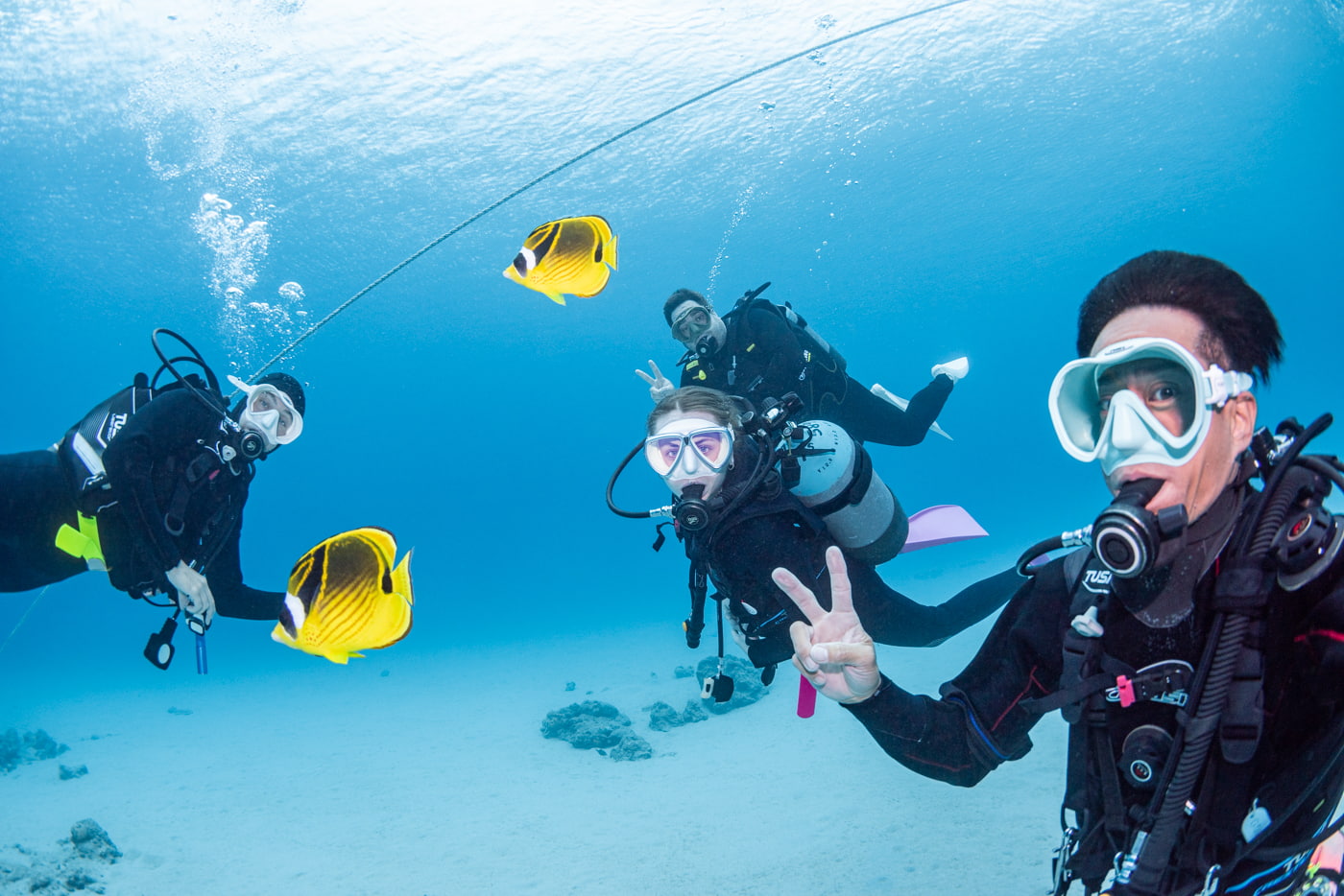 with guests underwater