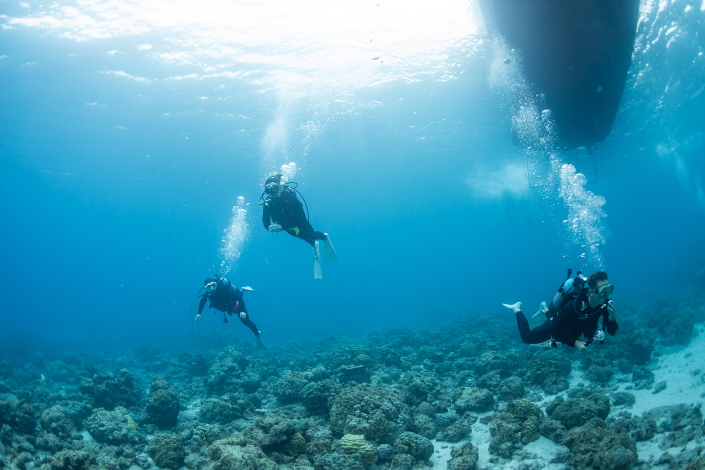 guests diving in the kerama islands