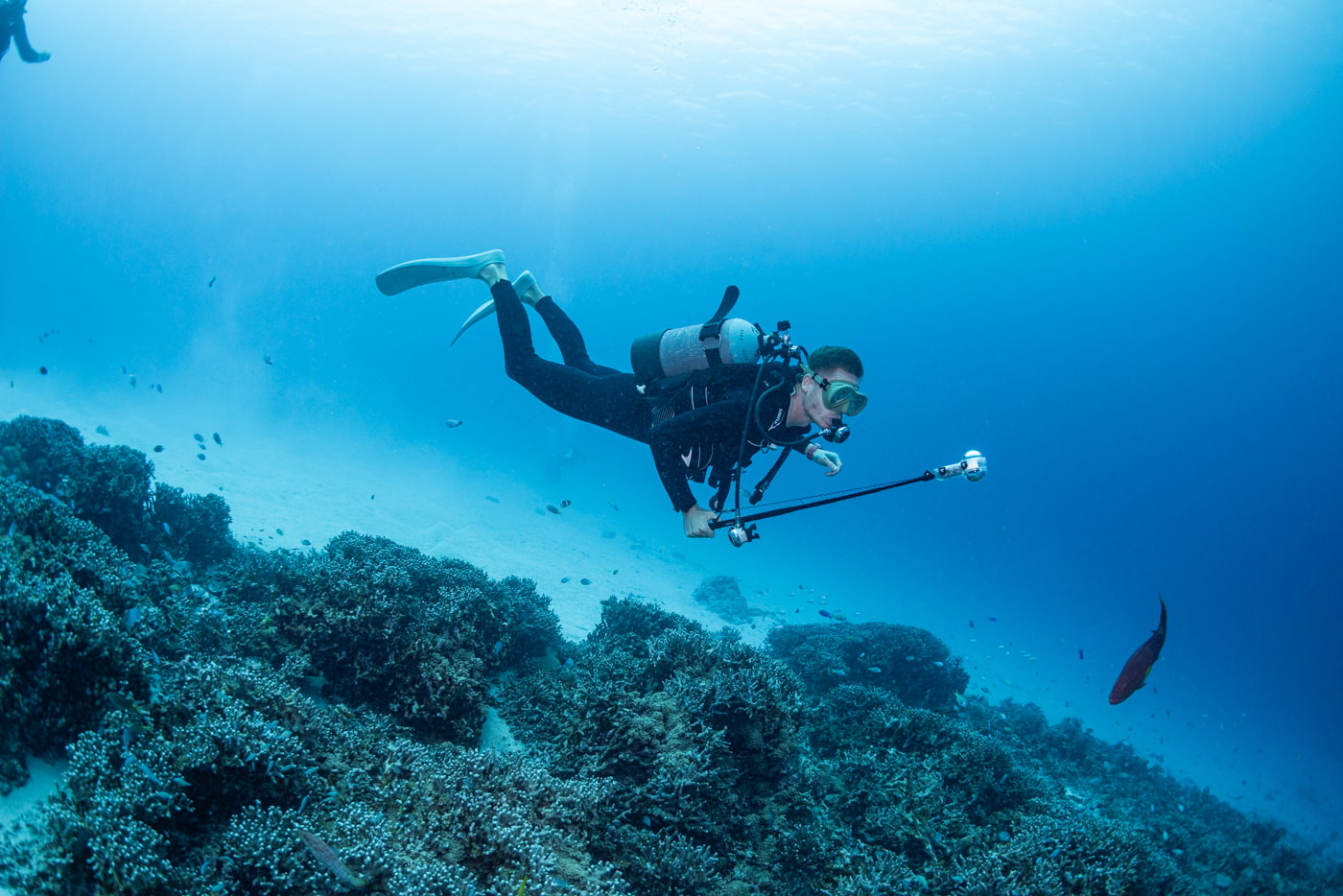 guests diving in the kerama islands
