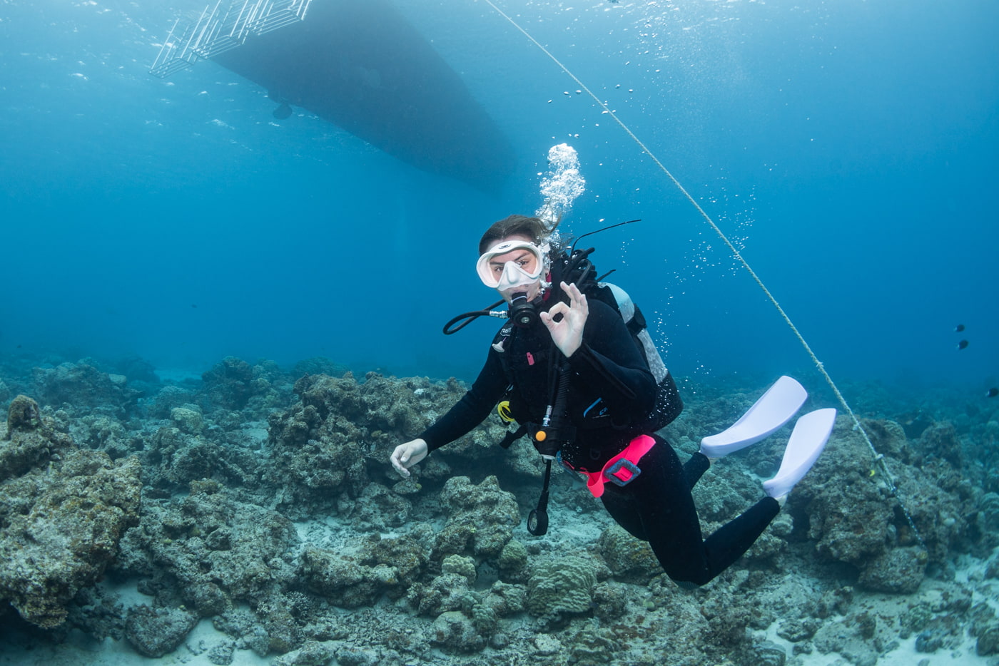 guests diving in the kerama islands