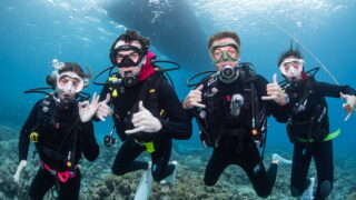 Diving in the Kerama Islands With Guests From the UK, Switzerland, and France! Turtles, Snakes, and Clownfish