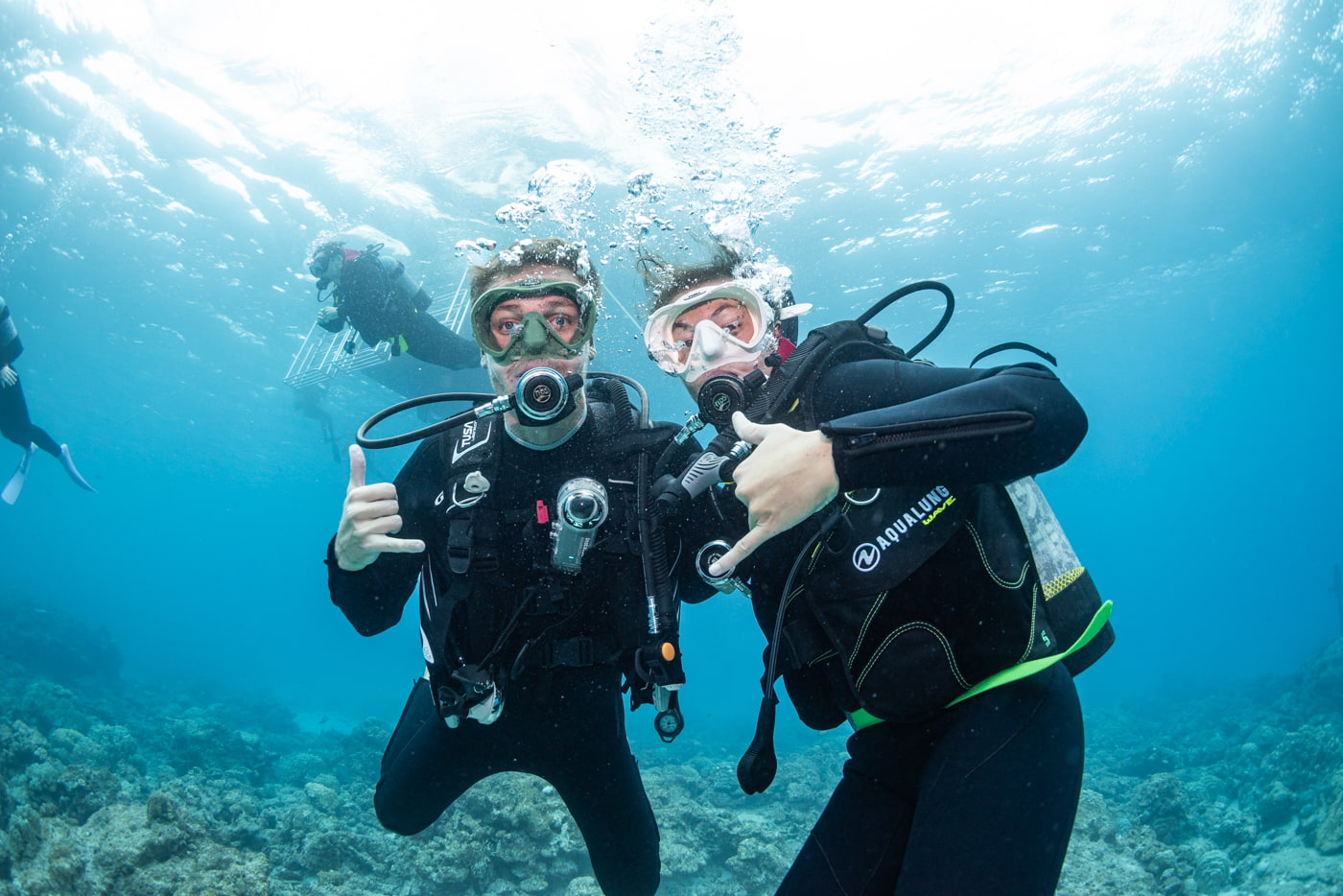 guests diving in the kerama islands