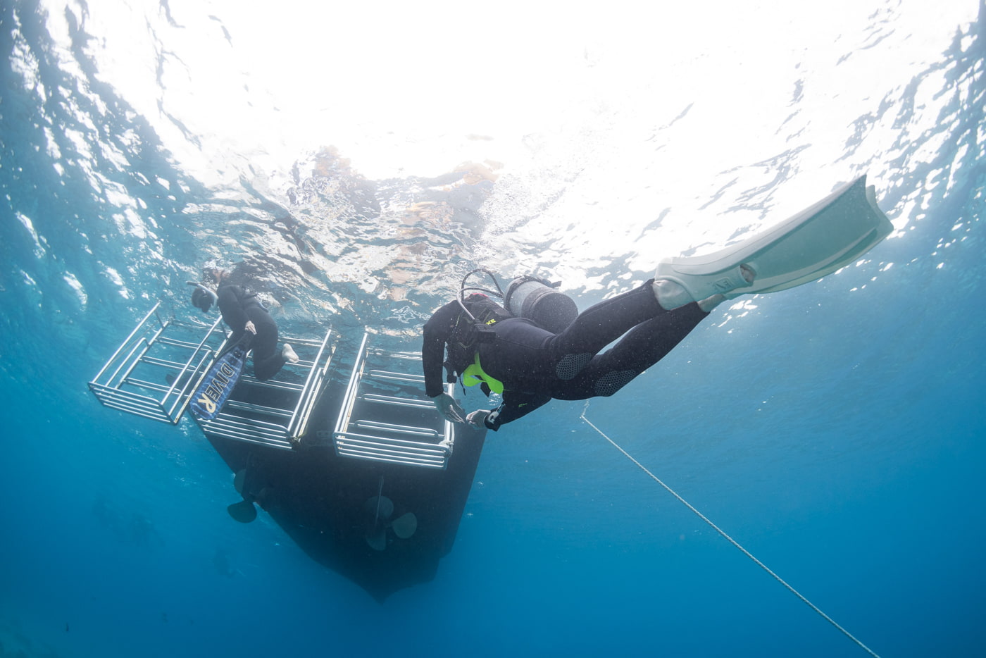 guests diving in the kerama islands