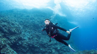 Diving in the Kerama Islands With Guests From Israel! Sea Turtles and Sea Slugs