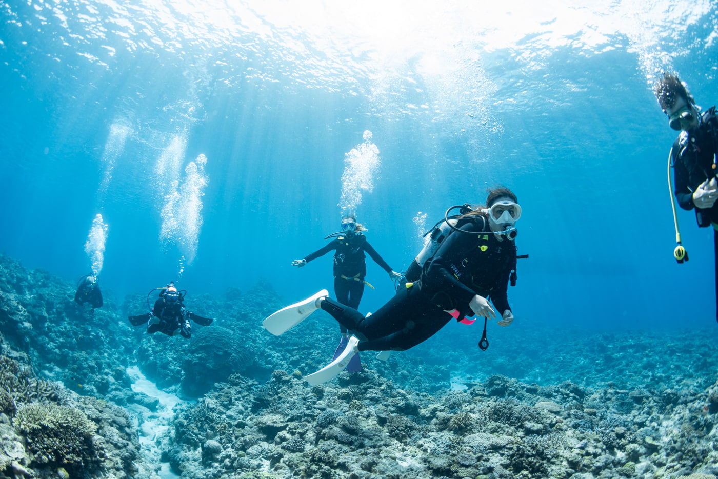 Guests Enjoying Scuba Diving in the Kerama Islands