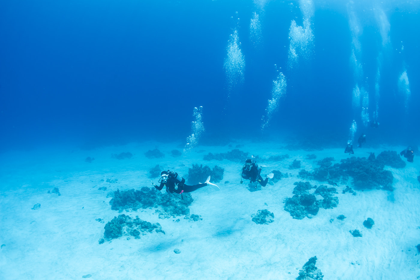 Underwater Scenery in the Kerama Islands