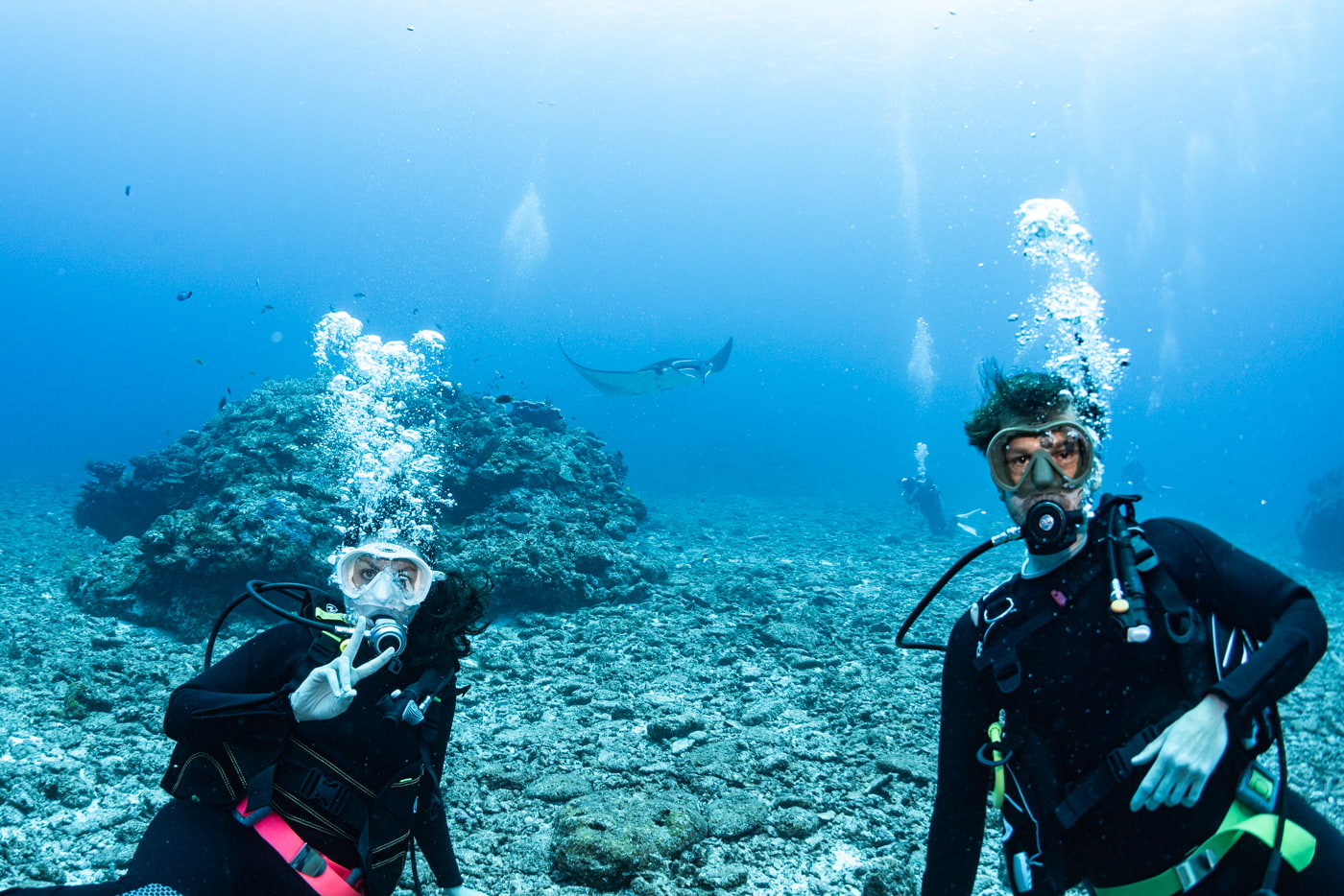 Guests and Manta ray