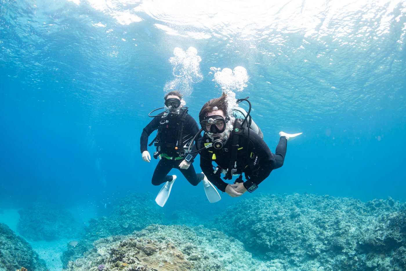 Guests Enjoying Scuba Diving in the Kerama Islands