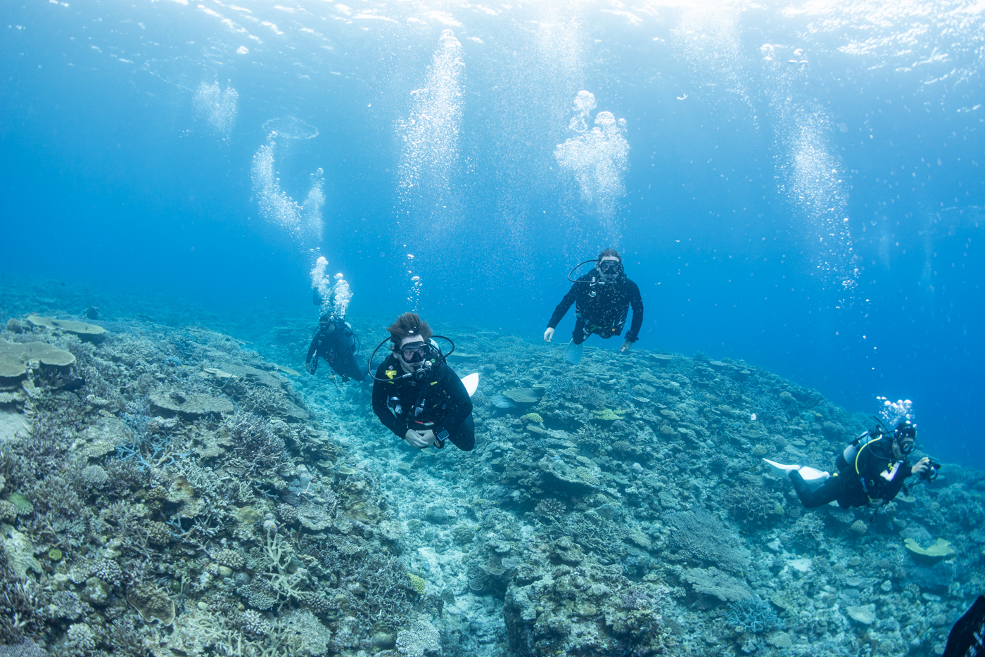 Guests Enjoying Scuba Diving in the Kerama Islands