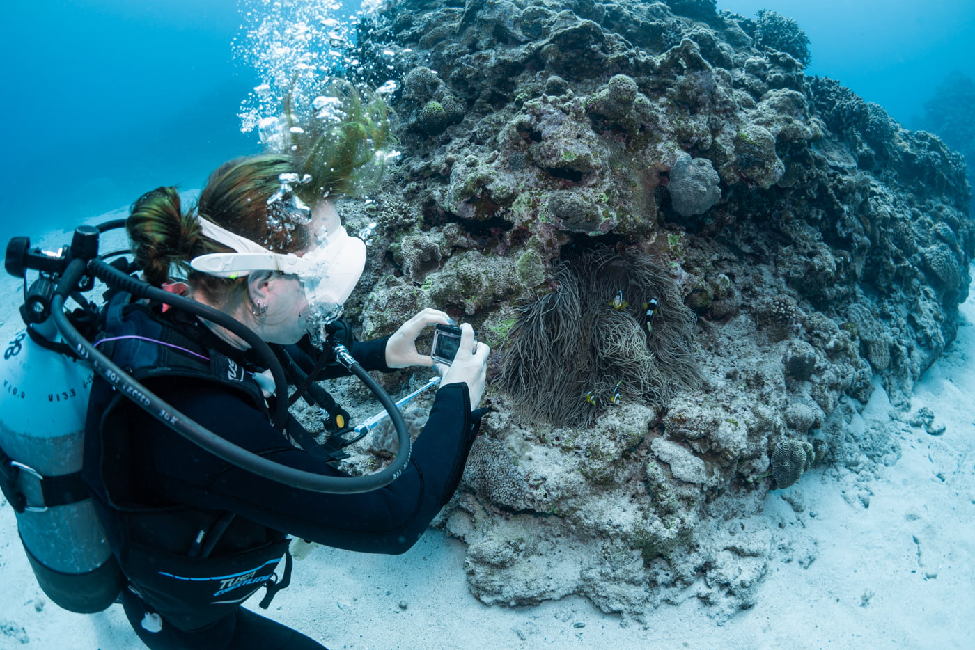 Guests Enjoying Scuba Diving in the Kerama Islands