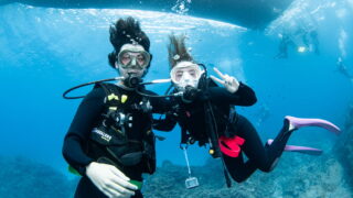 Diving in the Kerama Islands with Guests from France, the Netherlands. Turtles, Snakes and Nemo