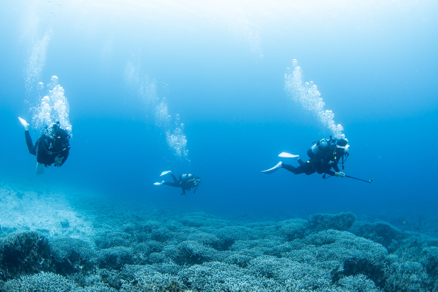 Guests Enjoying Scuba Diving in the Kerama Islands