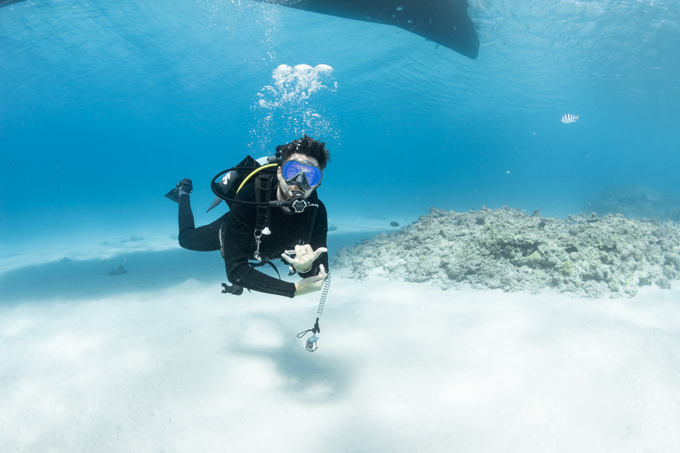 Guests Enjoying Scuba Diving in the Kerama Islands