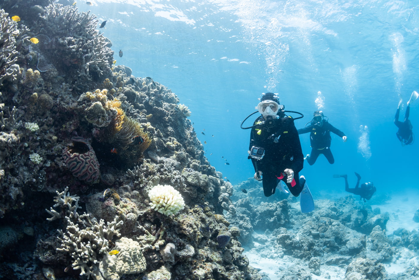 Guests Enjoying Scuba Diving in the Kerama Islands