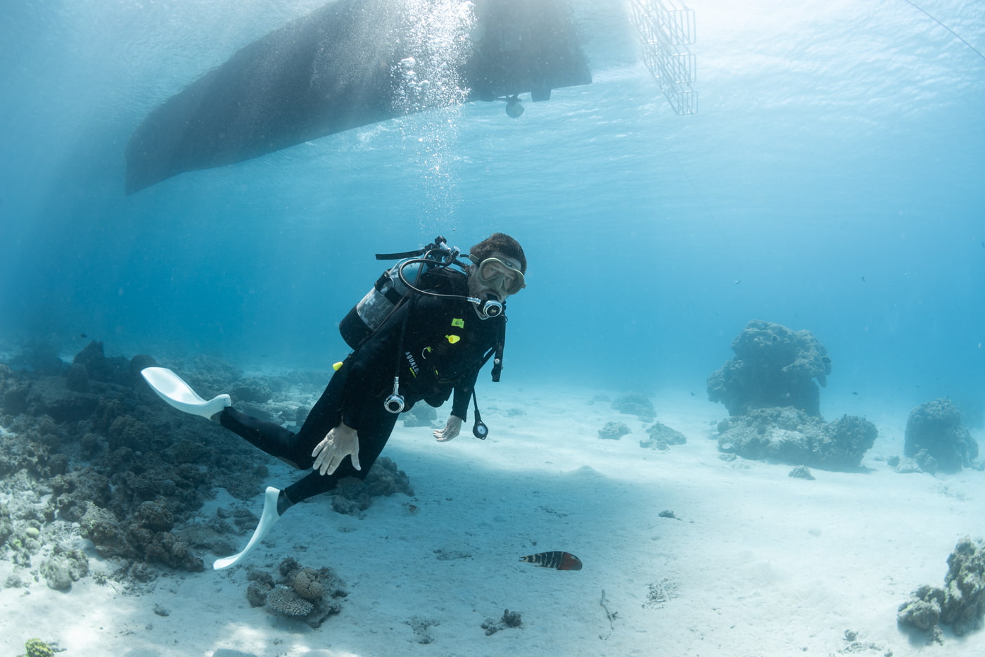 Guests Enjoying Scuba Diving in the Kerama Islands