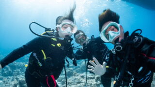 Diving Tour in the Kerama Islands With Guests From Germany - Sea Turtles, Sea Snakes & Nudibranchs!