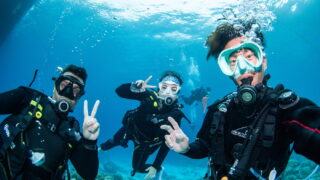 Diving Tour in the Kerama Islands with Guests from Spain - Caves, Sharks, Cuttlefish
