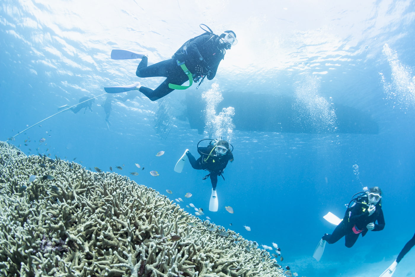 Divers enjoying the underwater scenery at Daimaru.