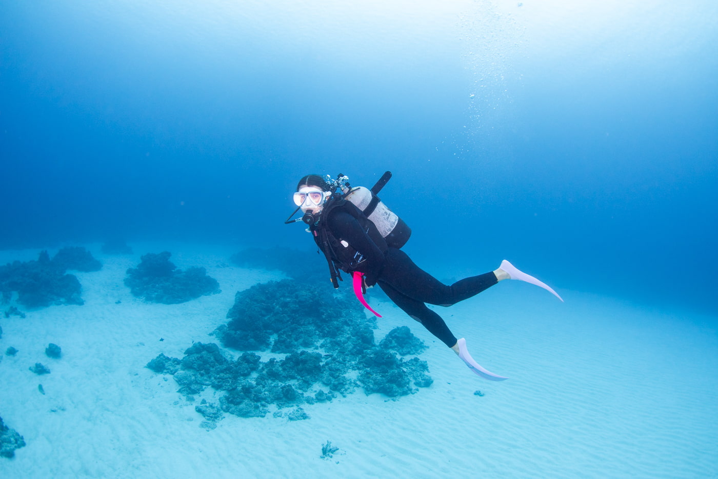 Underwater scenery and guest at Paraiso.