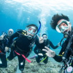 Kerama Islands Diving Tour With Guests From France, Lithuania, the United States, and Israel!