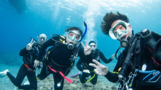 Kerama Islands Diving Tour With Guests From France, Lithuania, the United States, and Israel!