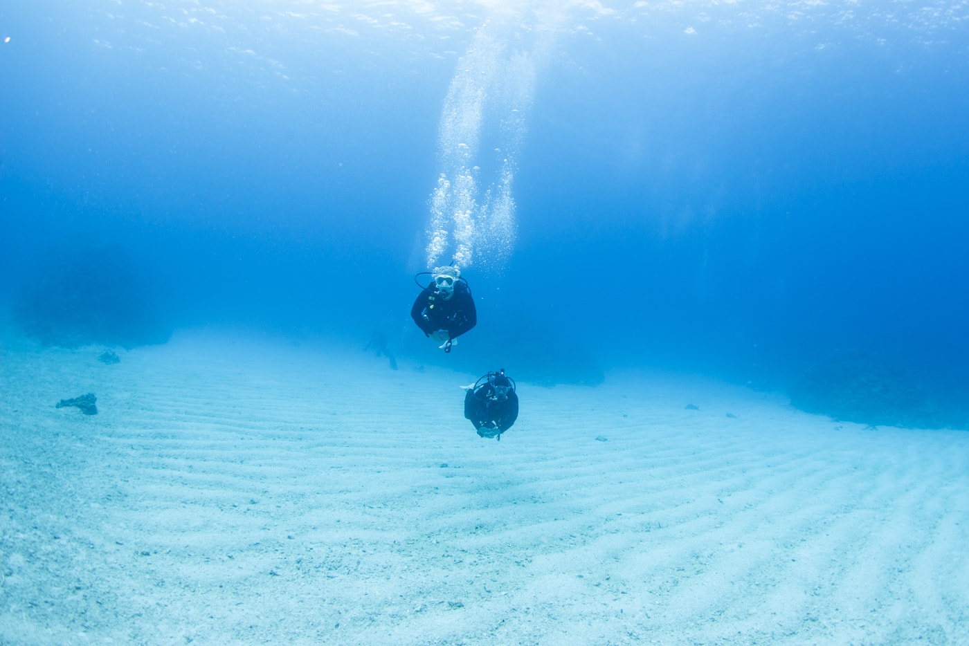 Guests enjoying a dive in the Kerama Islands.