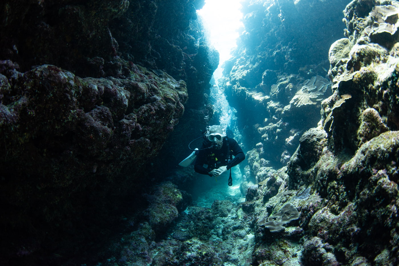 Guests enjoying a cave dive.