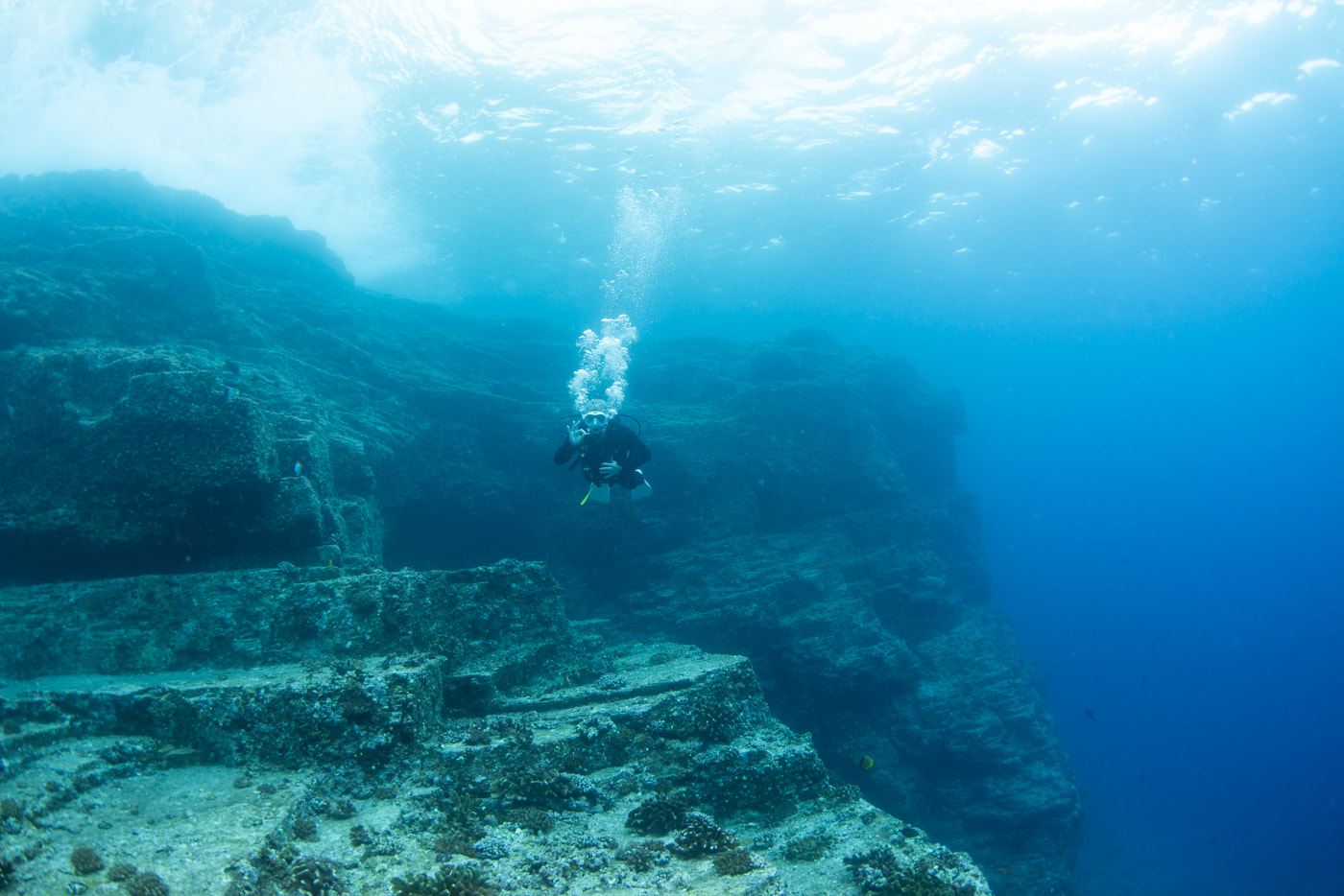 Guests enjoying a dive in the Kerama Islands.