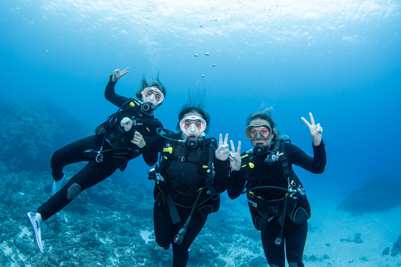 Guests enjoying diving in the Chibisi Islands.