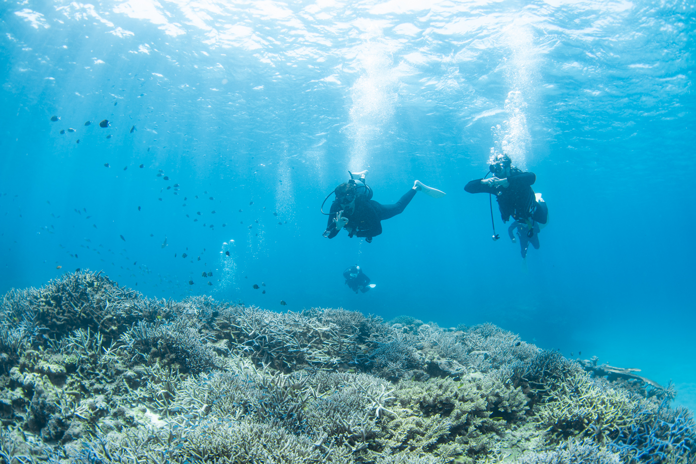 Underwater scenery at Nagannu South.