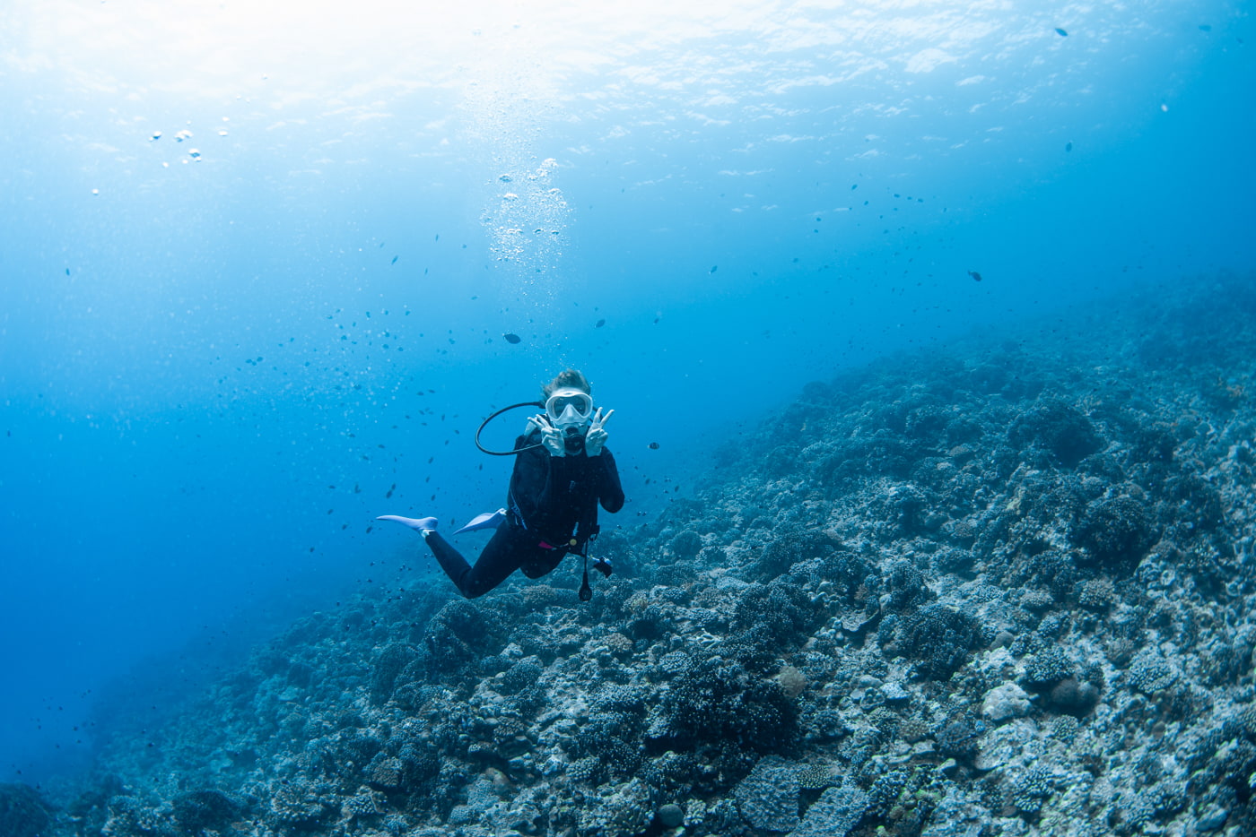 Guests enjoying diving in the Kerama Islands