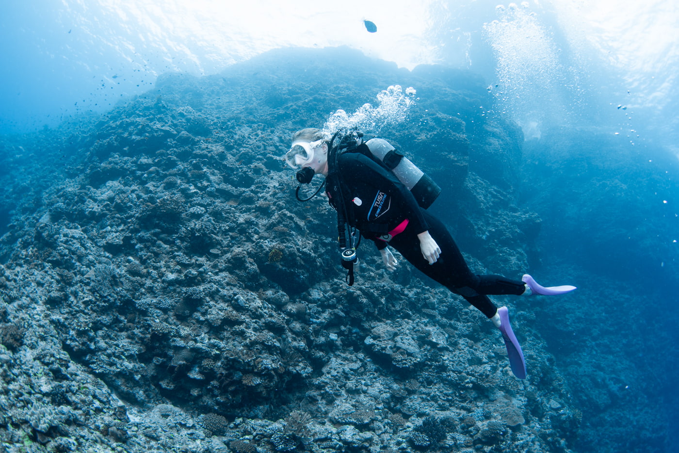 Guests enjoying diving in the Kerama Islands