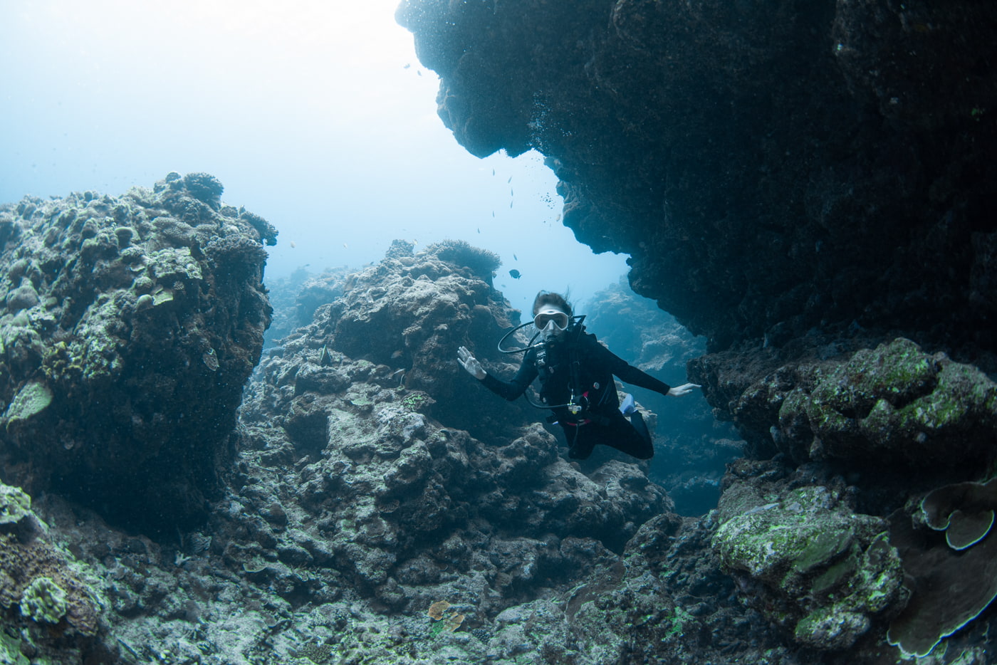 Guests enjoying diving in the Kerama Islands