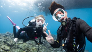 Diving Tour in the Kerama Islands With Guests From Switzerland