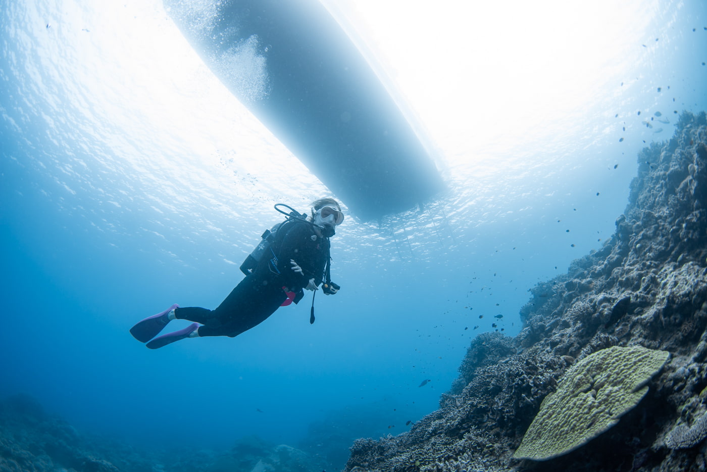 Guests enjoying diving in the Kerama Islands