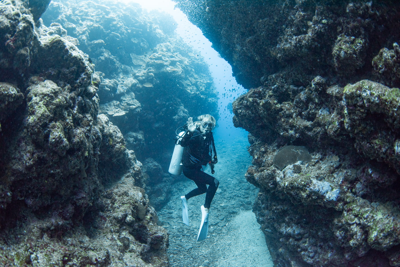Guests enjoying diving