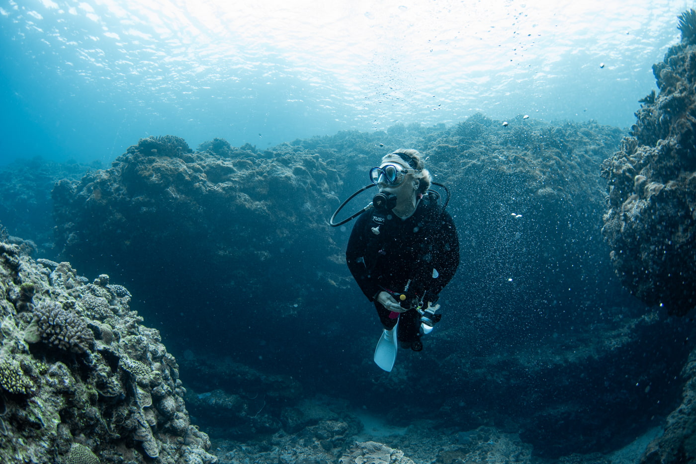 Guests enjoying diving