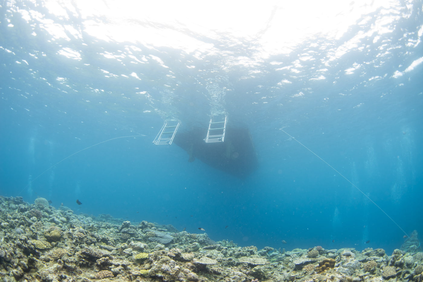 Underwater scenery