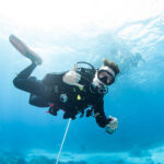 Kerama Islands Diving Tour with Guests from Germany, the USA, and the Philippines