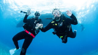 Diving in the Kerama Islands with Guests from France and Hungary
