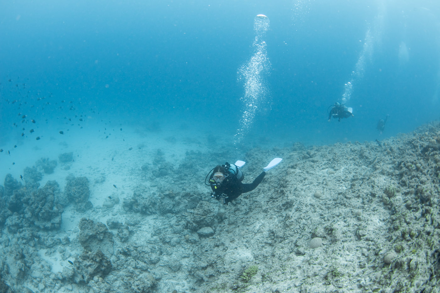 Underwater Scenery