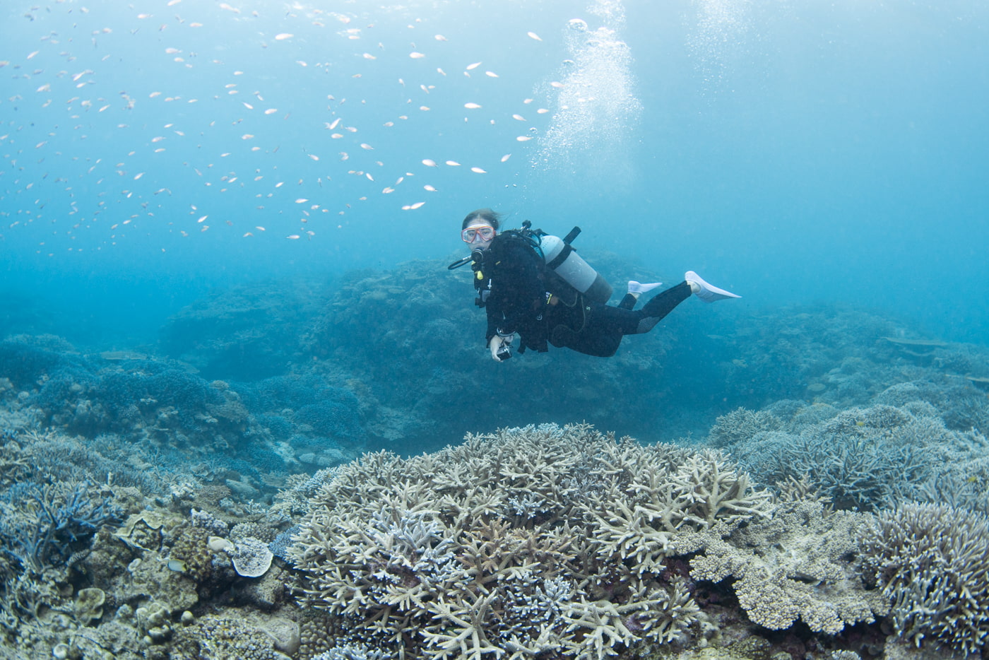 Underwater Scenery
