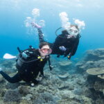Diving in the Kerama Islands with Guests from the USA and Singapore